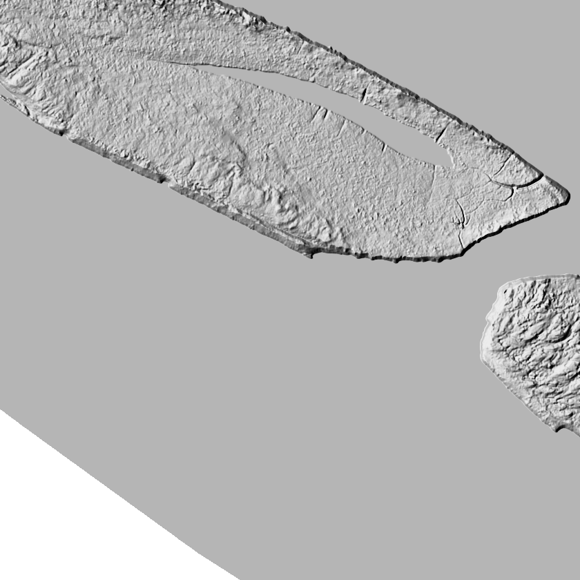 Exaggerated 1-meter lidar hillshade of the same flat ground revealing a raised bar, sloughs, ditches, and sub-meter micro-relief