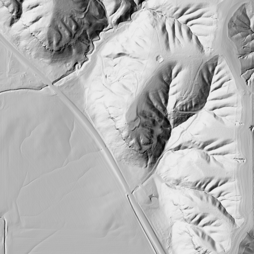 1-meter lidar hillshade of the identical Pike County ground — benches, draws, points, and trails visible in sharp relief